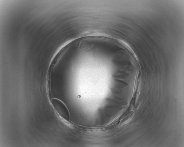 X0000052941149200508050849