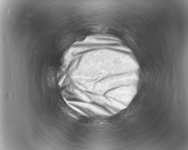 X0000052941154200508050848