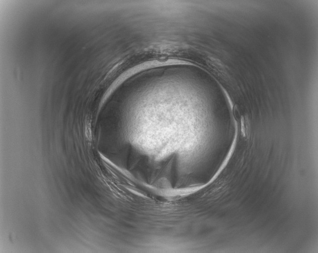 X0000052941155200508050848