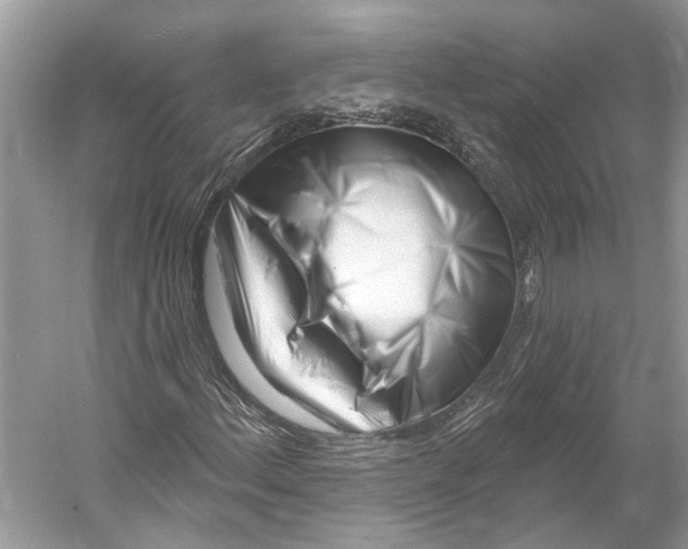 X0000052941156200508050848