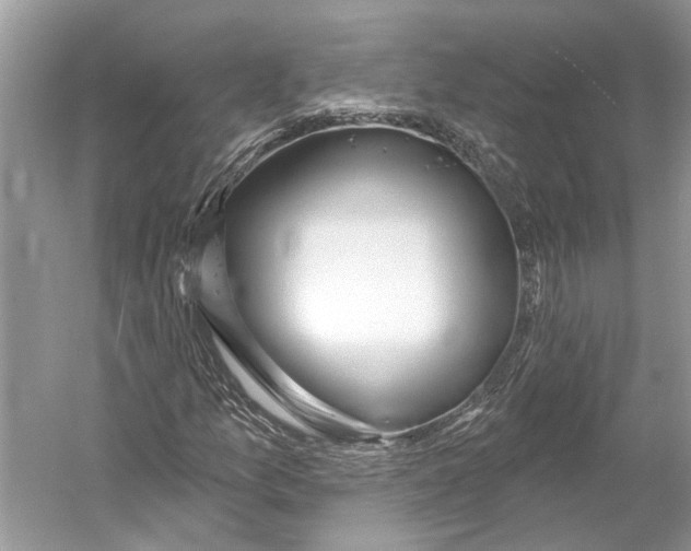 X0000052941157200508050848