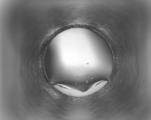 X0000052941159200508050848