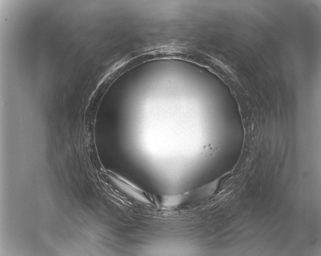 X0000052941160200508050848