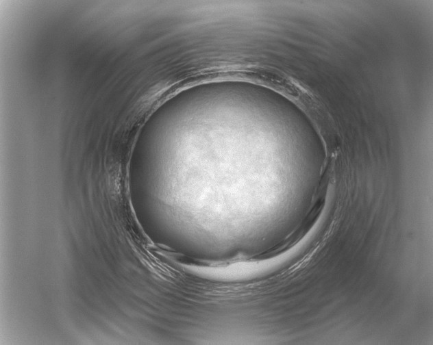 X0000052941161200508050848