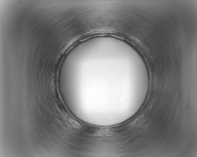 X0000052941162200508050848