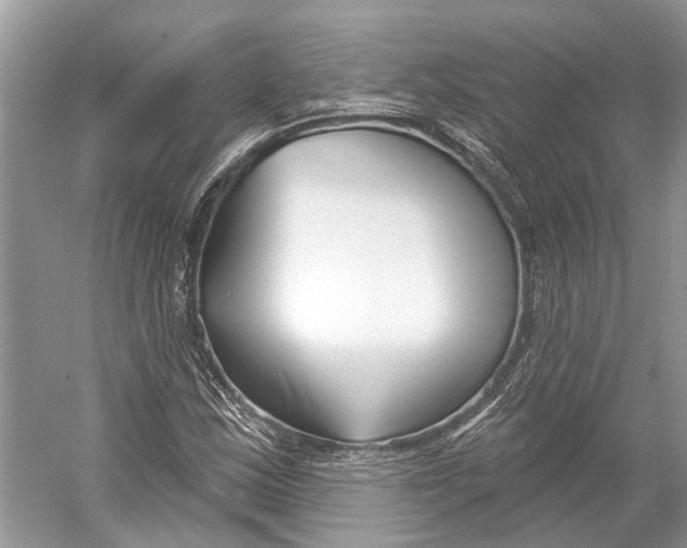 X0000052941163200508050848