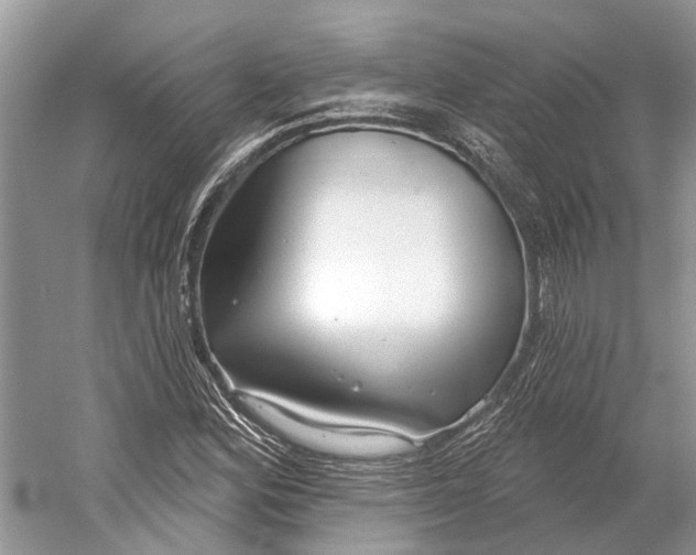 X0000052941164200508050848