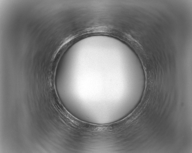 X0000052941166200508050848