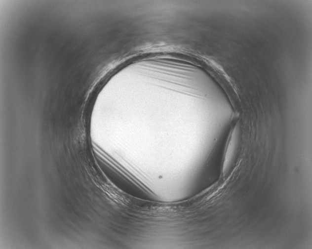 X0000052941167200508050848