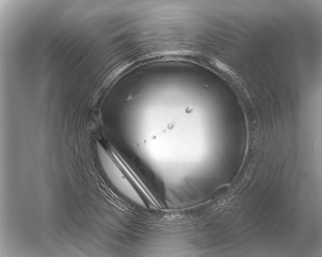 X0000052941169200508050848