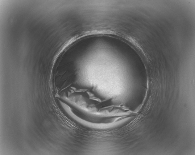 X0000052941173200508050848