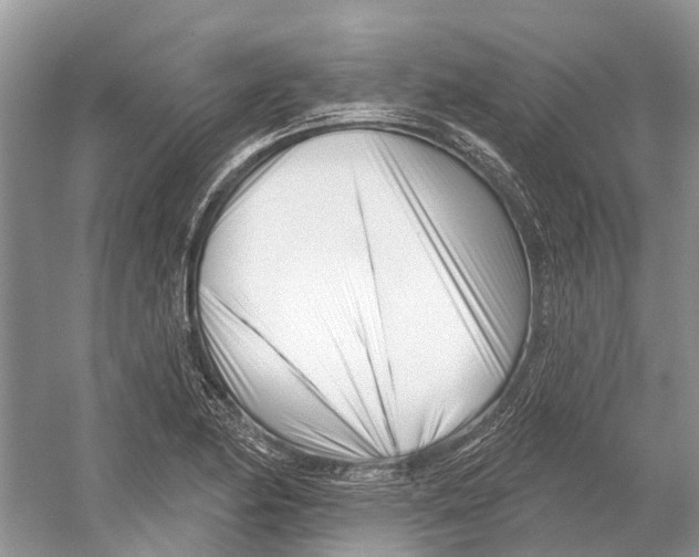 X0000052941174200508050848