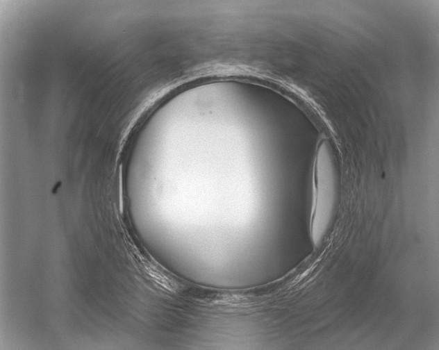 X0000052941175200508050848