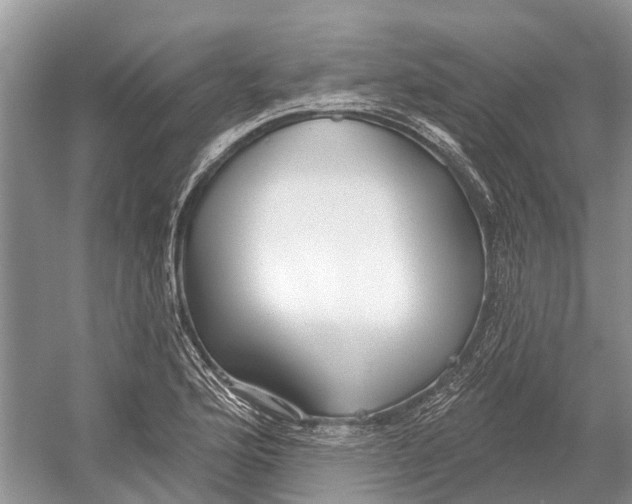 X0000052941176200508050848