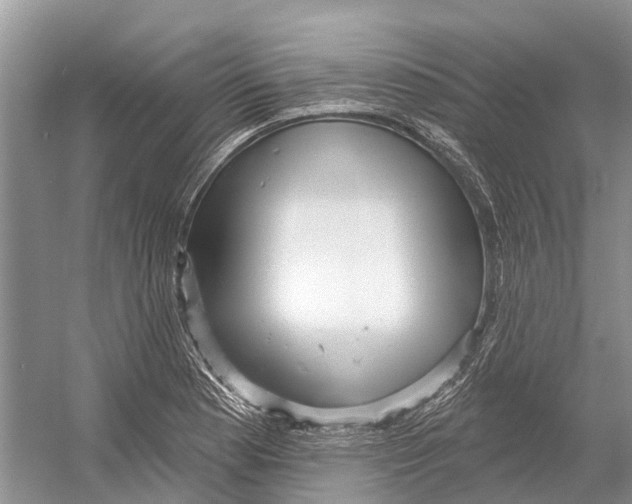 X0000052941177200508050848