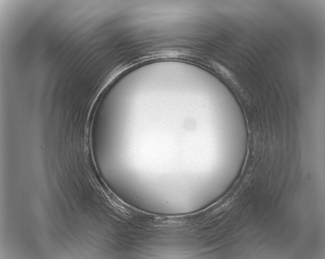 X0000052941178200508050848