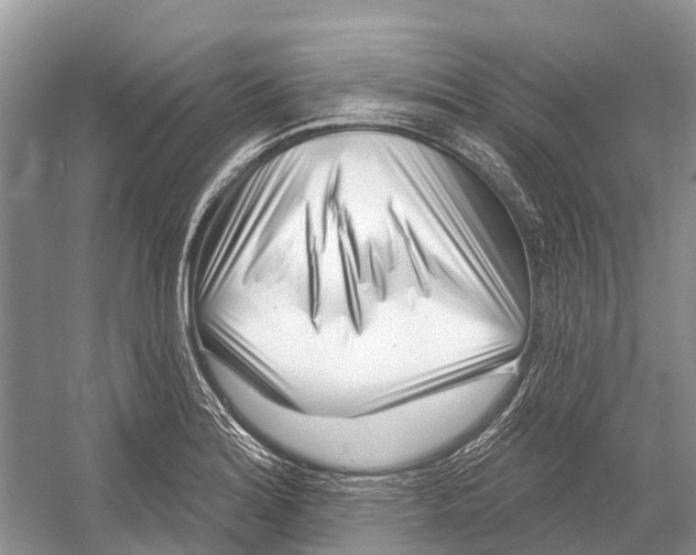 X0000052941180200508050848