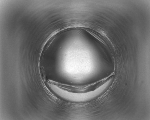 X0000052941181200508050848