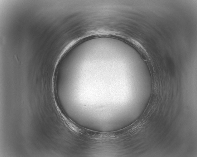 X0000052941183200508050848