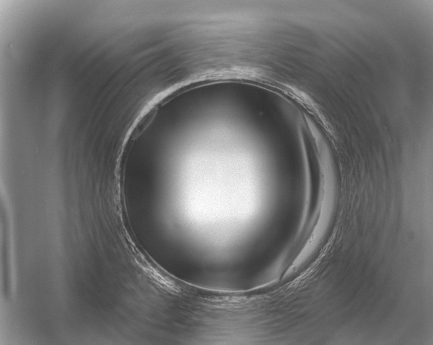 X0000052941184200508050848