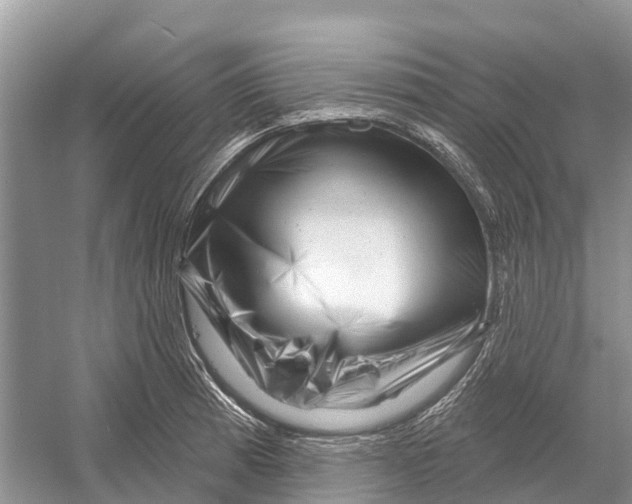 X0000052941185200508050848