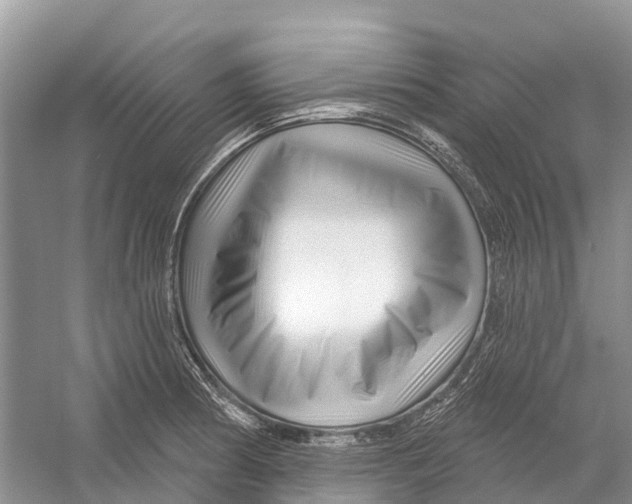 X0000052941186200508050848