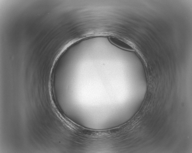 X0000052941187200508050848