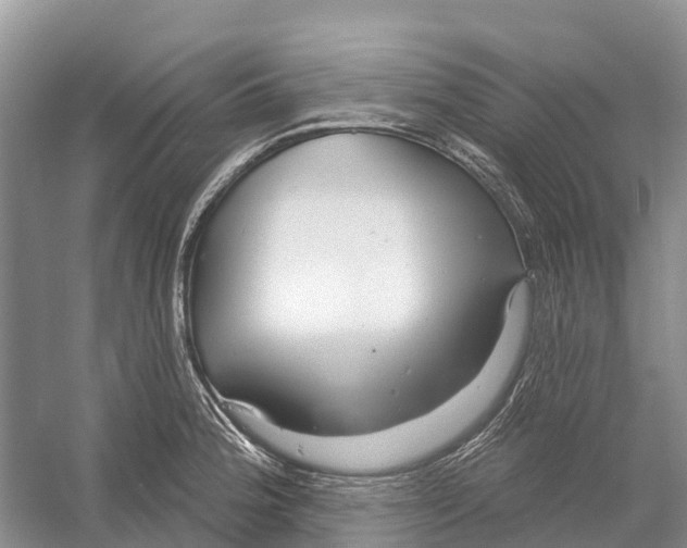 X0000052941188200508050848