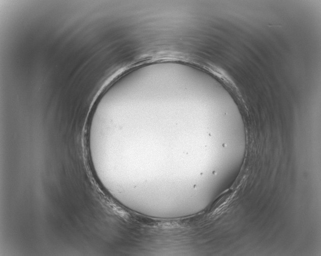 X0000052941190200508050847