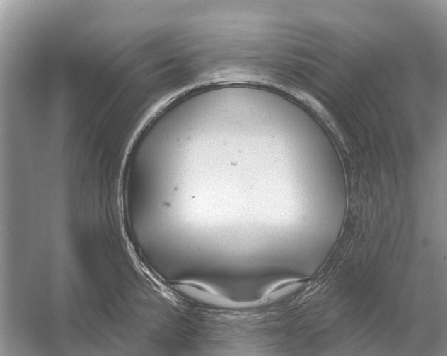 X0000052941191200508050847