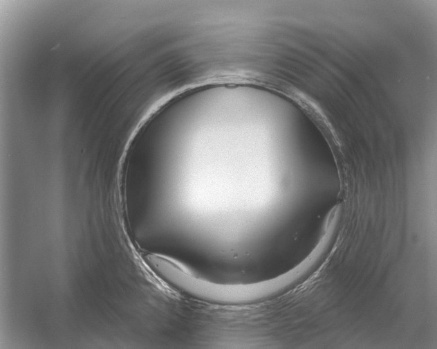 X0000052941192200508050847