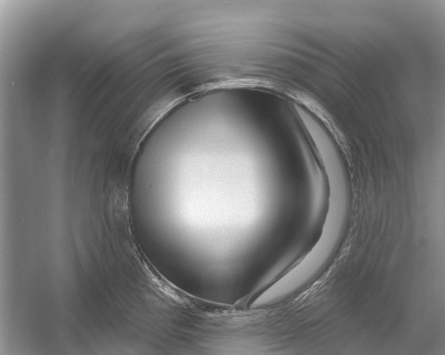 X0000052941193200508050847