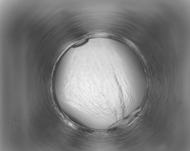 X0000052941194200508050847