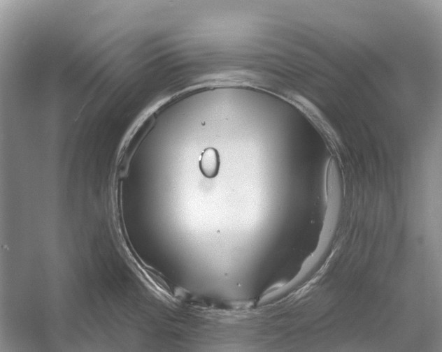 X0000052941196200508050847