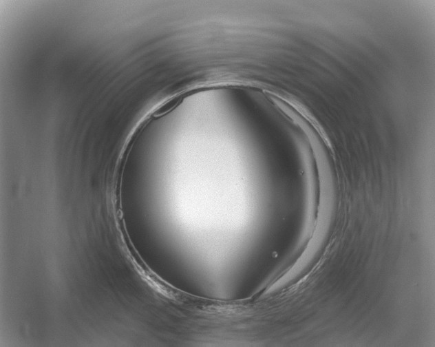 X0000052941197200508050847