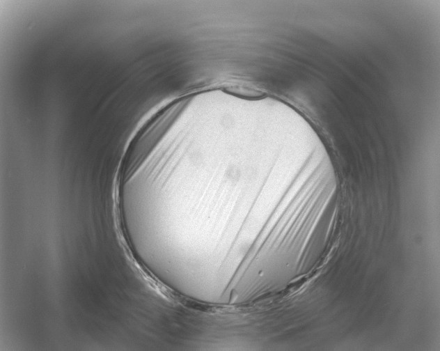 X0000052941198200508050847