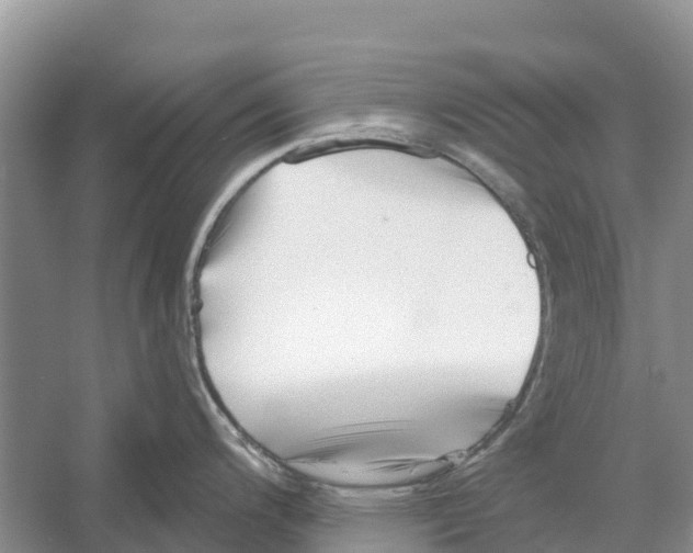 X0000052941200200508050847