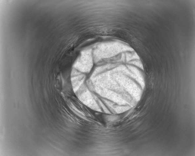 X0000052941202200508050847