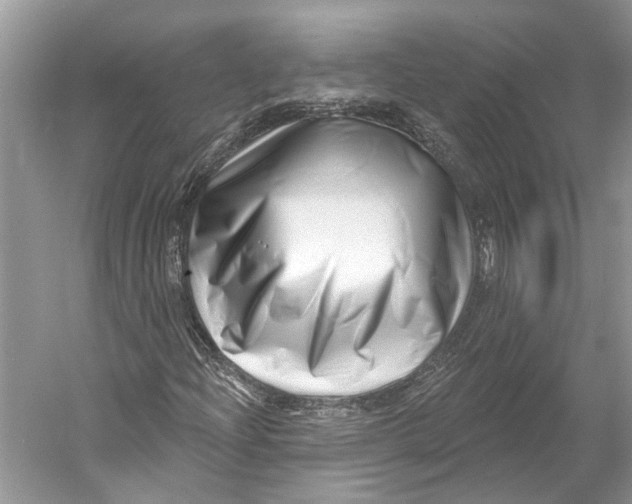 X0000052941204200508050847