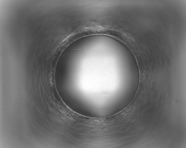 X0000052941205200508050847