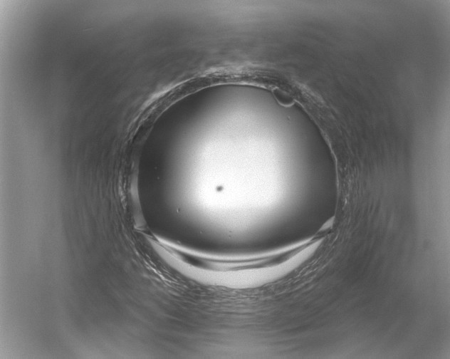 X0000052941206200508050847