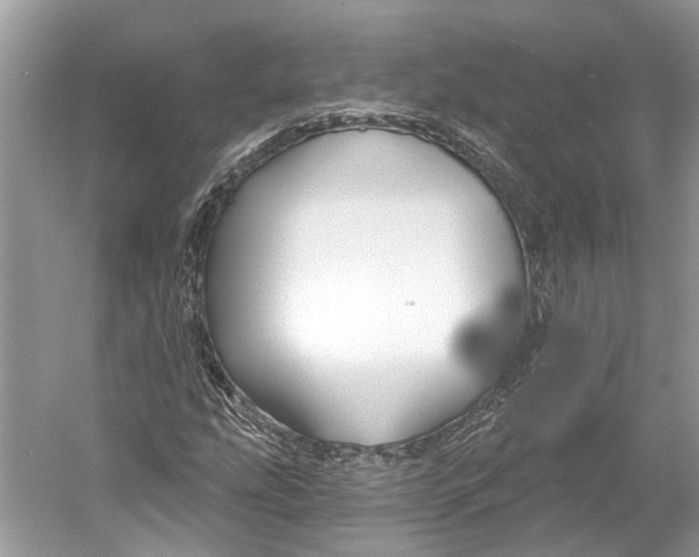 X0000052941207200508050847