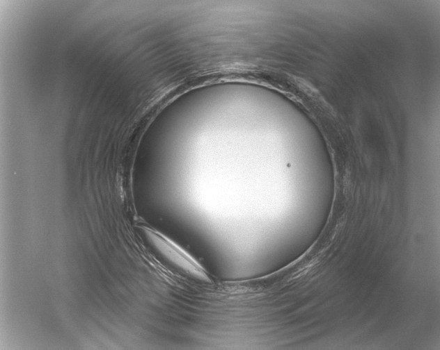 X0000052941209200508050847