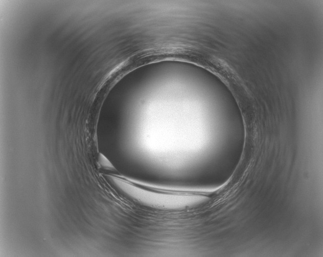 X0000052941210200508050847