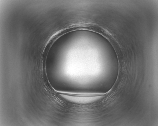 X0000052941214200508050847