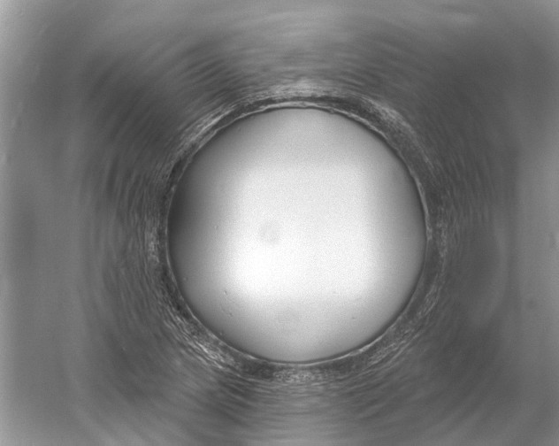 X0000052941217200508050847