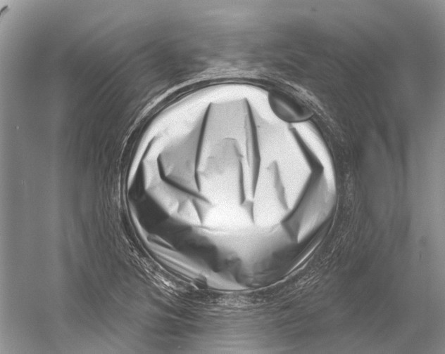 X0000052941220200508050847