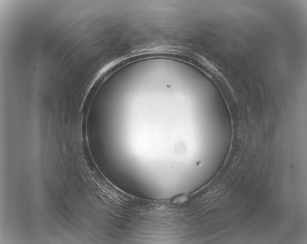 X0000052941222200508050847