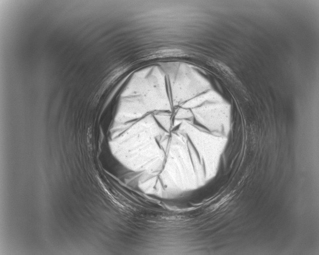 X0000052941225200508050847