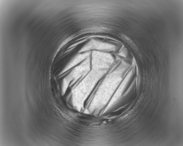 X0000052941226200508050847